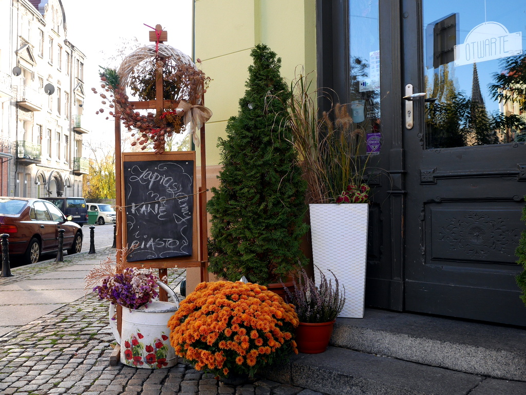 シロンスク シレジア 地方 ヴロツワフ ブロツワフ ブロツラフ ブレスラウ ナドドジェ  美しい花屋の店先 @Nadodrze 