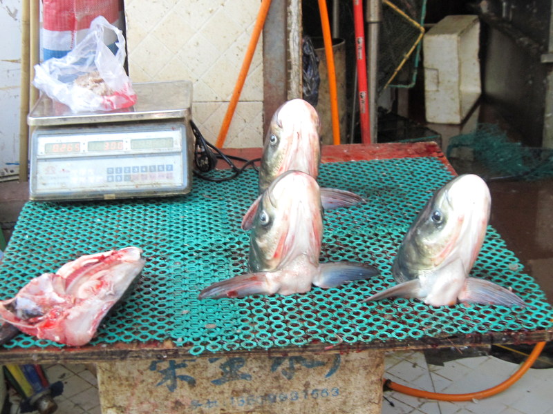 お魚もダイナミックな売り方である @拱北口岸市场 珠海