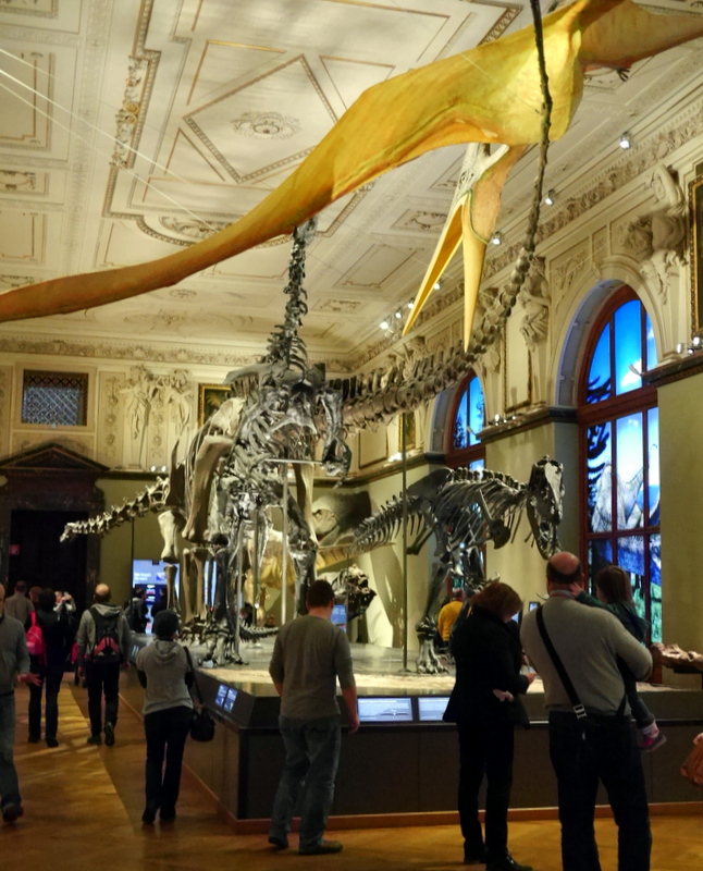 館内の恐竜展示 @Naturhistorisches Museum Wien