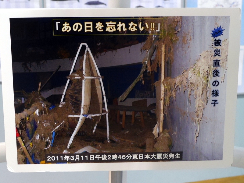 被災したヒゲ展示 @鯨と海の科学館 山田町