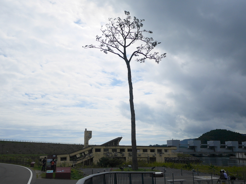 奇跡の一本松 @陸前高田