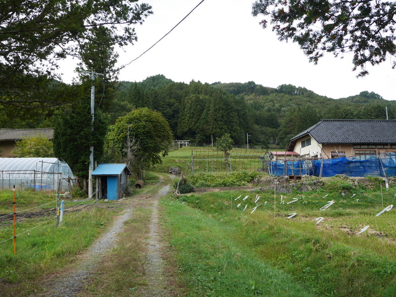 栃内観音の鳥居
