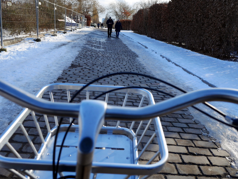 追加レンタルしたバスケット、軽いが丈夫