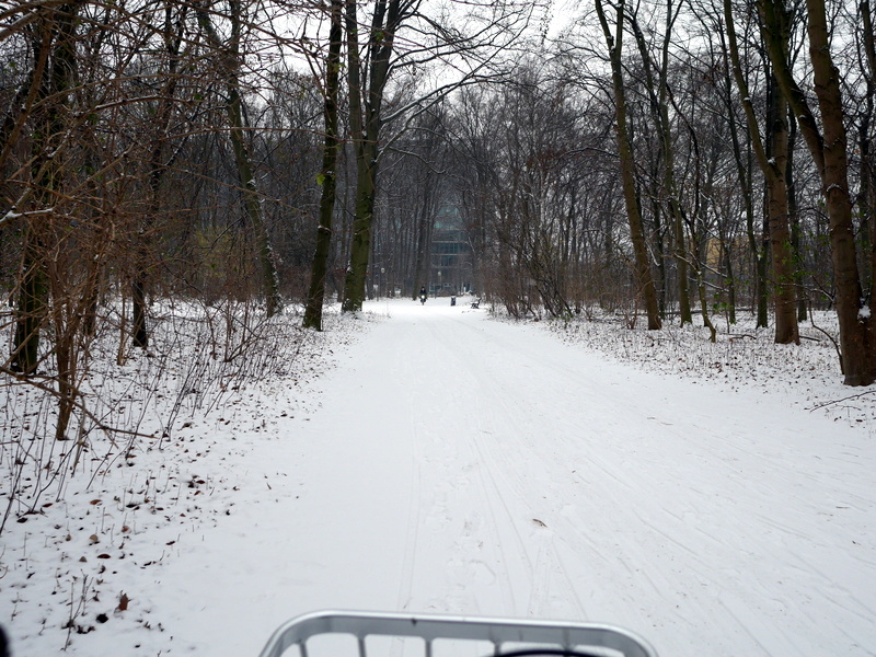 雪のティーアガルテンを走る @Großer Tiergarten