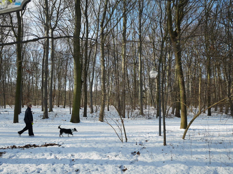 雪景色のティーアガルテンを散歩する人 @Großer Tiergarten