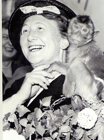 カタリーナ・ハインロート（1897-1989）1955年にボルネオ島からブタオザル「プッツィ」を連れて動物輸送から戻ってきた時の写真 @パネル展示「動物園の物語」